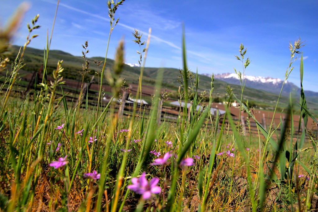 Slowing Down to&nbsp;Listen