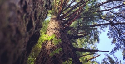 2015-05-27-1432764400-1559699-IMG_4920-thumb