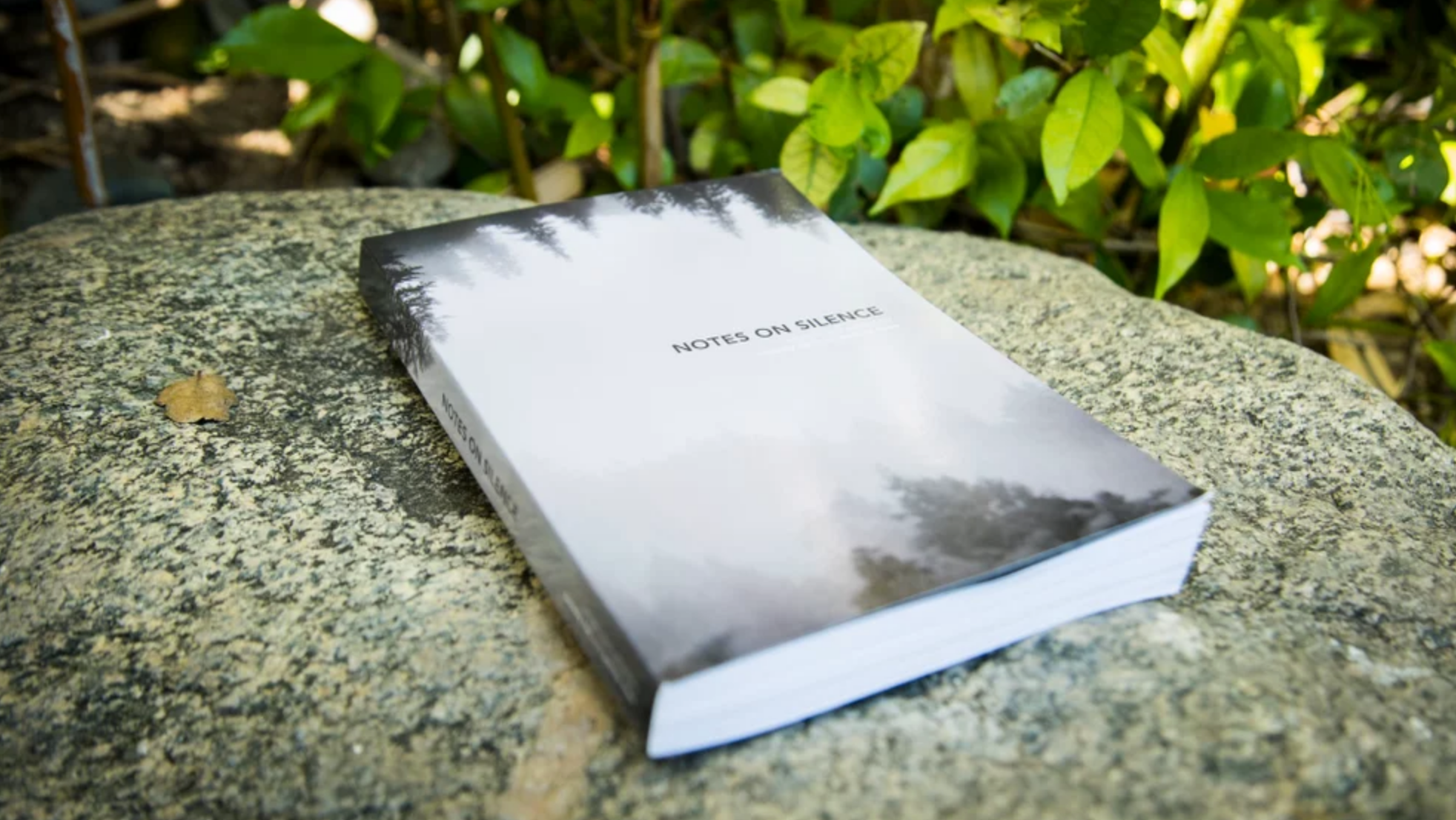 Screen Shot 2018-05-08 at 10.22.36 AM