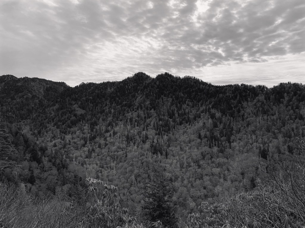 Love’s Undercurrent